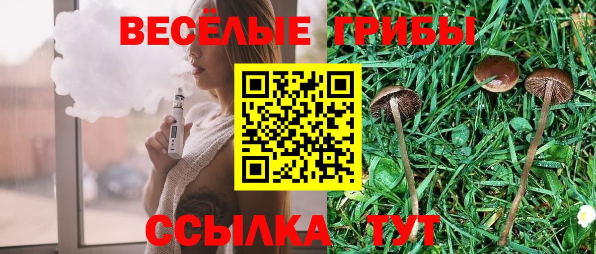 купить  цена  Вход с VPN  Галлюциногенные грибы прущие грибы  Губкин  Галлюциногенные грибы прущие грибы 