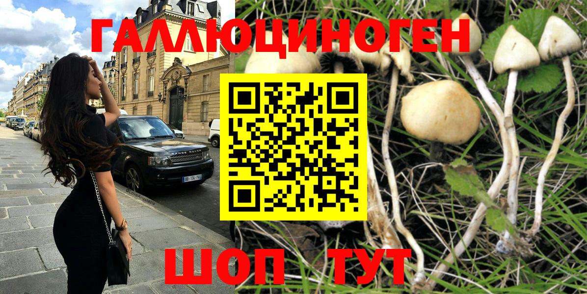 Псилоцибиновые грибы мухоморы Губкин